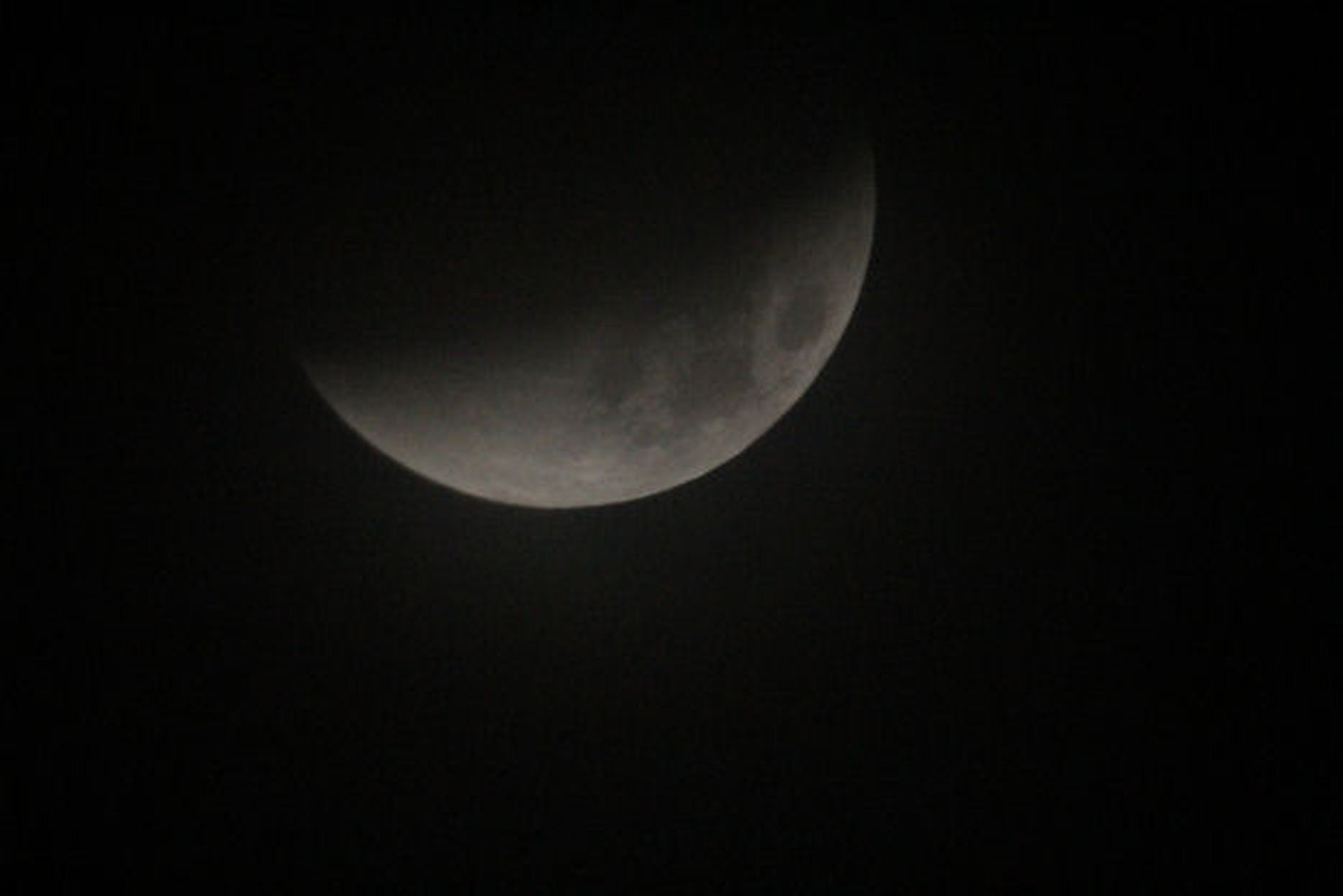 Lunar Eclipse By Tony Hayes. Canon EOS 1200D 1/160th second.  ISO-6400 Through Celestron 6" SCT with focal reducer
